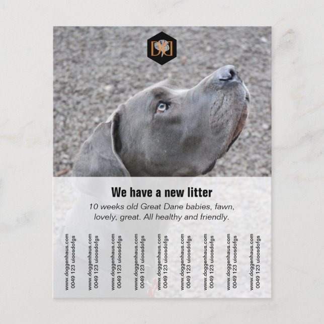 Flyer ’Seller’ (Framsidan)