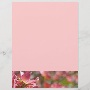 Flyers anpassade Skapa Dina Egna Rosa Dogwood Blom