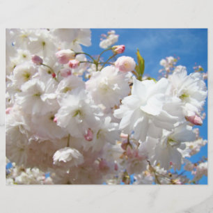 Flyers papper Skapa Dina egna anpassade Blommor