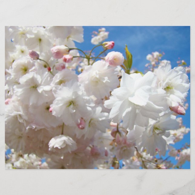 Flyers papper Skapa Dina egna anpassade Blommor (Framsidan)