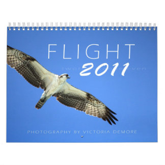 Flyg 2011 kalender