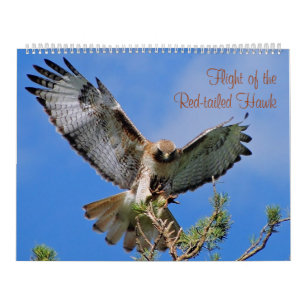 Flyg av den röda höken kalender