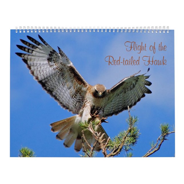 Flyg av den röda höken kalender (Omslag)