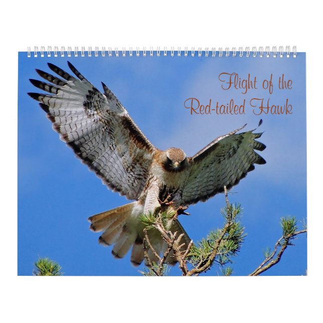 Flyg av den röda höken kalender (Omslag)