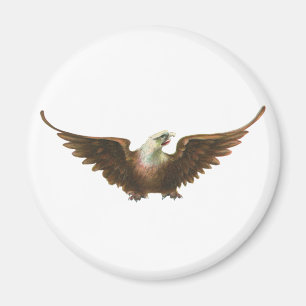 Flyg för fågel för örn för magnet