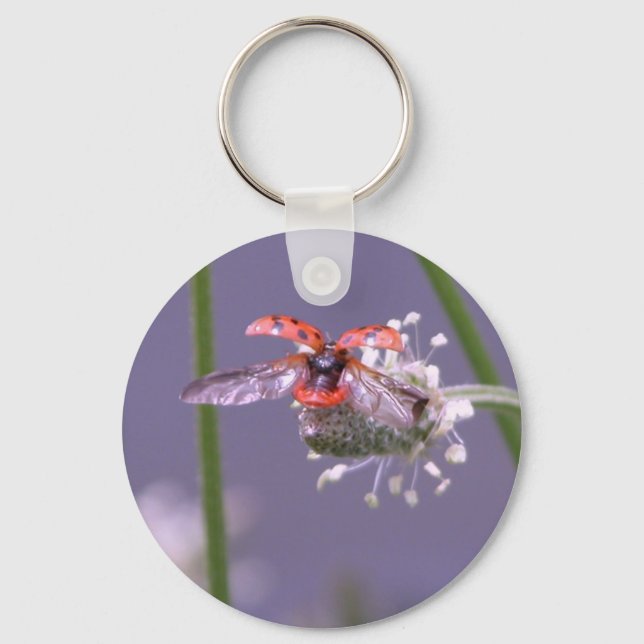 Flyg hemifrån nyckelring (Framsida)