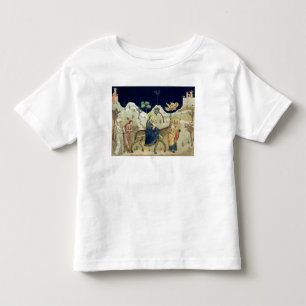 Flyg in i egypten 2 tee shirt
