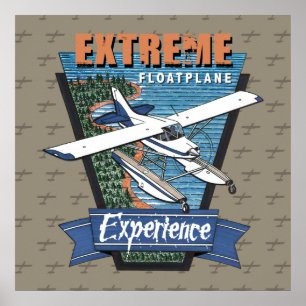 Flyg- och flygplanserfarenhet poster
