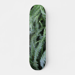 Flyg på Ferns Mini Skateboard Bräda 18,5 Cm