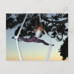 Flyg- silke vykort
