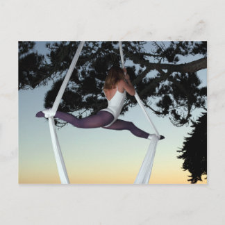 Flyg- silke vykort