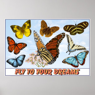 Flyg till dina drömmar poster