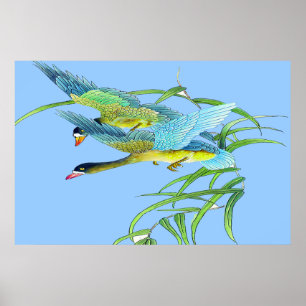 Flyga ankaaffischen som drar 2 poster