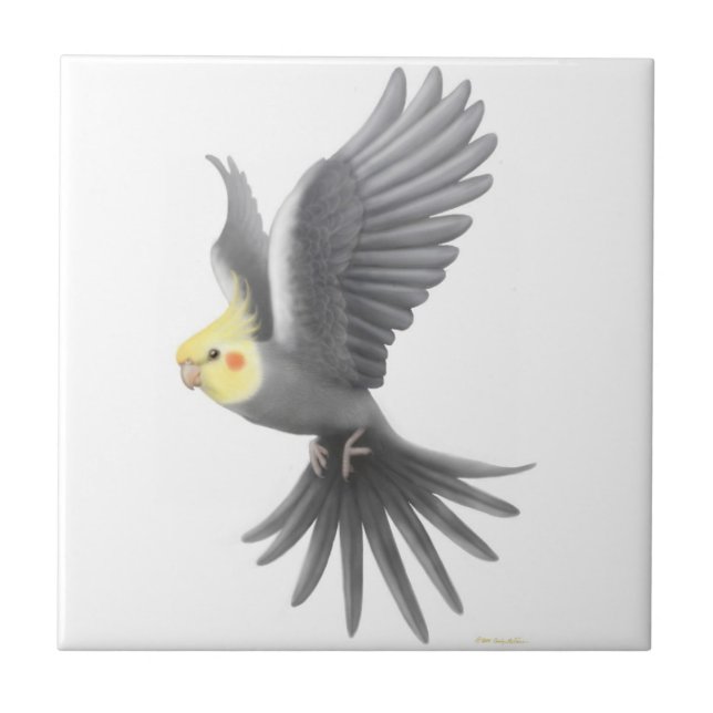 Flyga den gråa Cockatielpapegojan belägga med Kakelplatta (Framsidan)