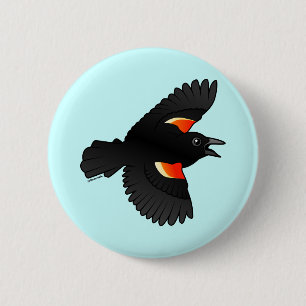 Flyga denpåskyndade blackbirden knapp