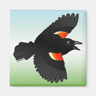 Flyga denpåskyndade blackbirden magnet