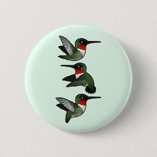 Flyga denthroated hummingbirden knapp