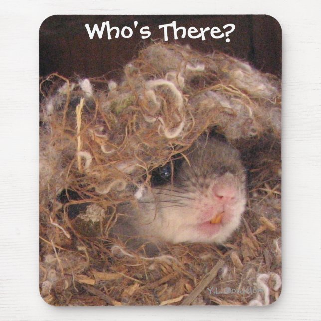 Flyga ekorren Mousepad Musmatta (Framsidan)