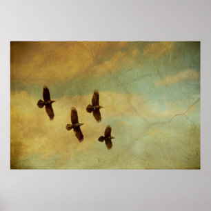Flyga för fyra Ravens Poster