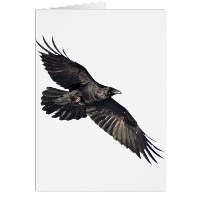 Flyga kråkan hälsningskort (Framsidan)