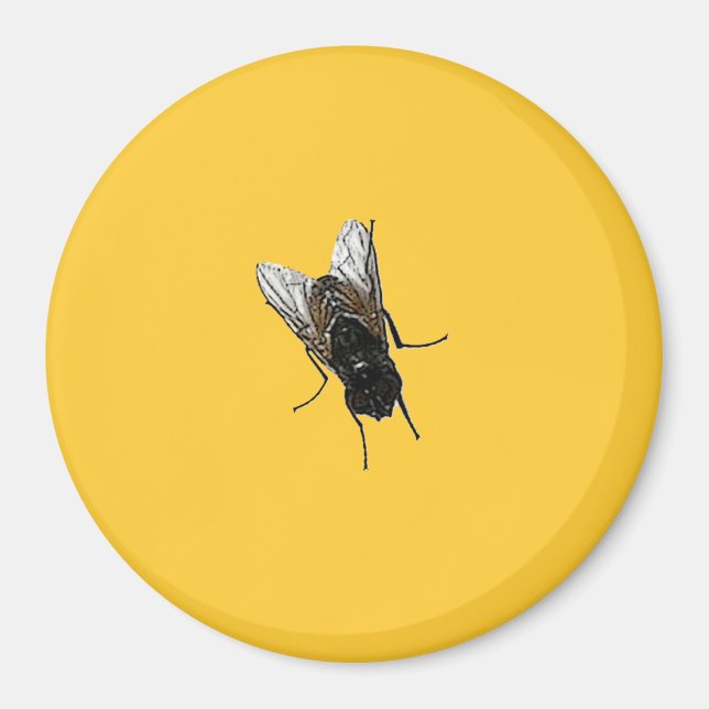 flyga magnet (Framsidan)