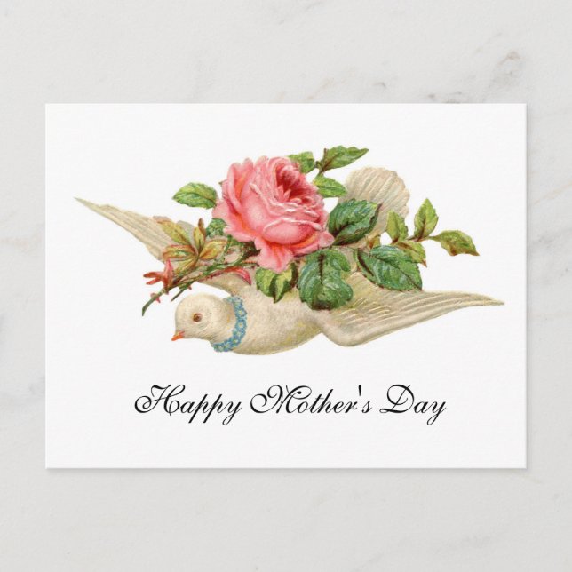 FLYGA NER MED ROSA ROS Mors dag Vykort (Framsida)