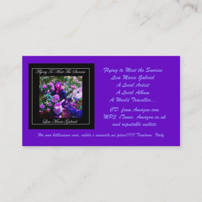 Flyga som möter soluppgången visitkort (Framsida)