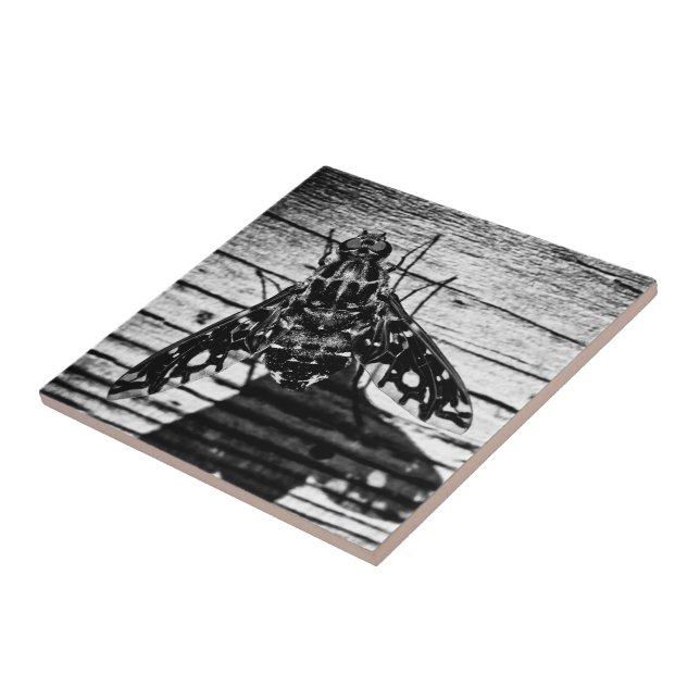 flyga tillbaka kakelplatta (Sidan)