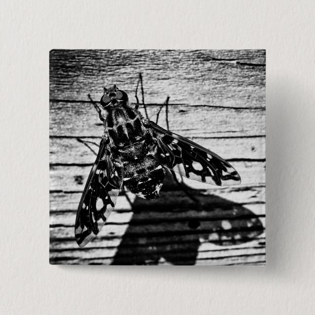 flyga tillbaka knapp (Framsida)