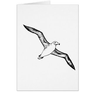 FlygAlbatrossillustration Hälsningskort