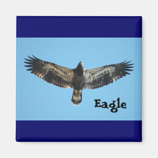 Flygande agle Magnet