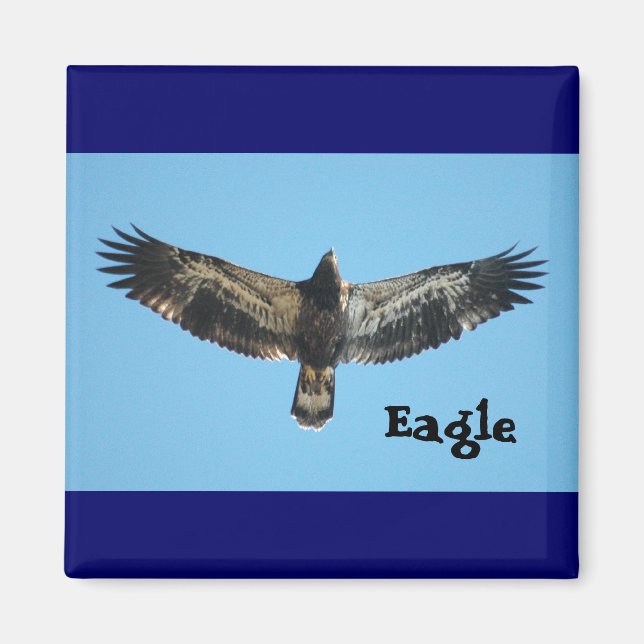 Flygande agle Magnet (Framsidan)