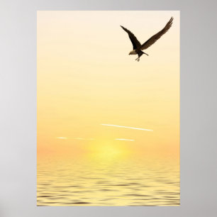 Flygande agle poster