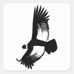 flygande Andean Condor Fyrkantigt Klistermärke