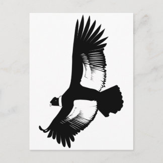 flygande Andean Condor Vykort