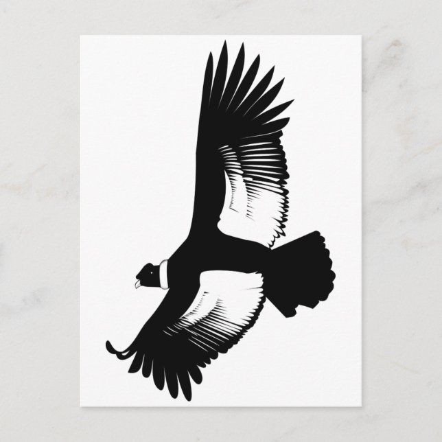 flygande Andean Condor Vykort (Framsida)