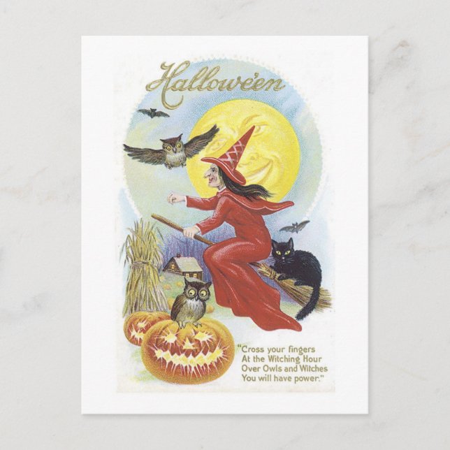 Flygande beck, Fladdermöss, Katt, Uggla Måne Vykort (Framsida)