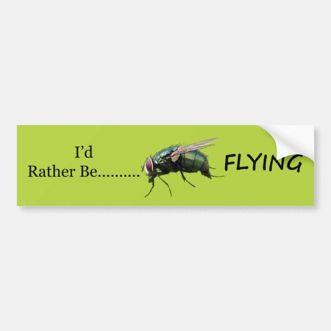 Flygande Bildekal (Framsidan)