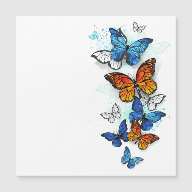 Flygande Butterflies Morpho och Monarch (Framsida)