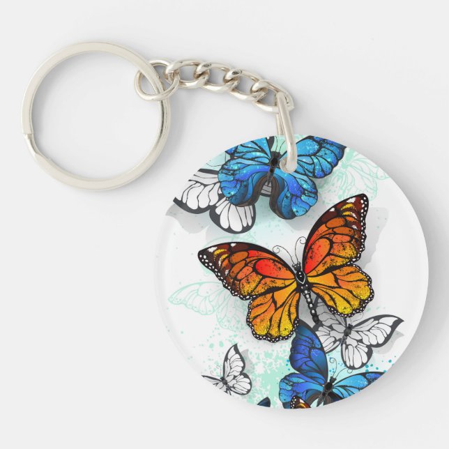 Flygande Butterflies Morpho och Monarch (Framsidan)