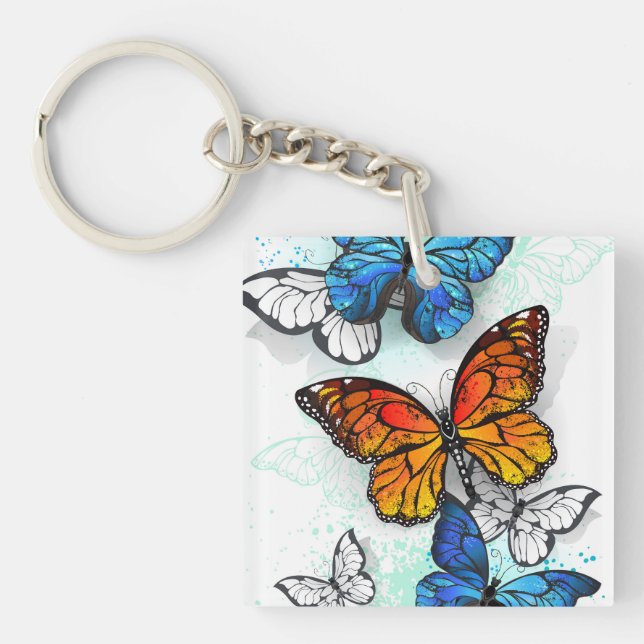 Flygande Butterflies Morpho och Monarch (Framsidan)