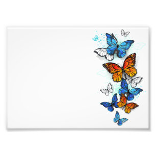 Flygande Butterflies Morpho och Monarch Fototryck
