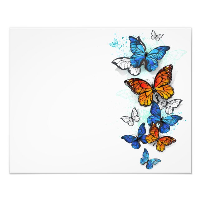 Flygande Butterflies Morpho och Monarch Fototryck (Framsidan)