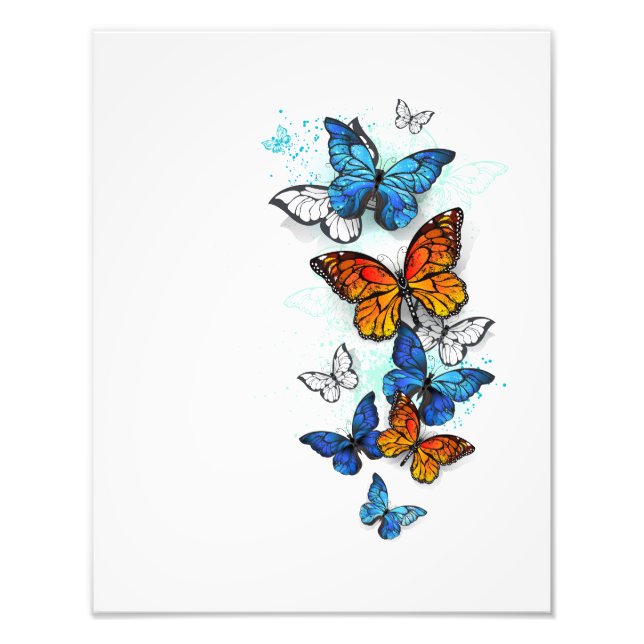 Flygande Butterflies Morpho och Monarch Fototryck (Framsidan)