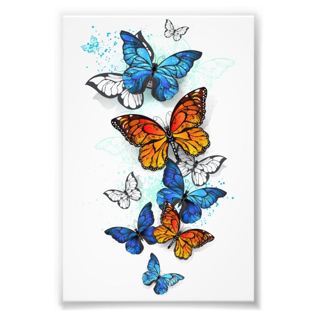 Flygande Butterflies Morpho och Monarch Fototryck (Framsidan)
