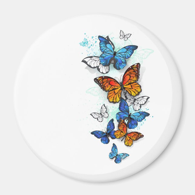 Flygande Butterflies Morpho och Monarch Magnet (Framsidan)
