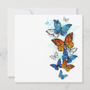 Flygande Butterflies Morpho och Monarch Meddelande