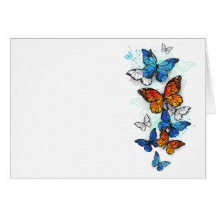 Flygande Butterflies Morpho och Monarch OBS Kort