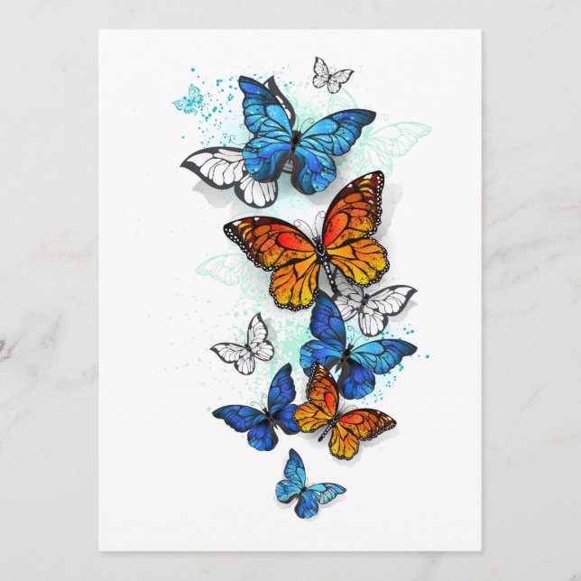 Flygande Butterflies Morpho och Monarch Program (Framsida)