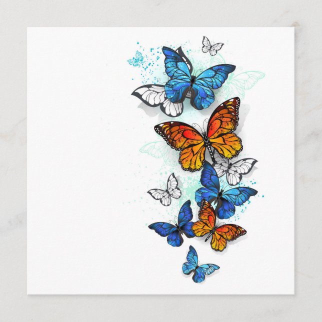 Flygande Butterflies Morpho och Monarch Program (Framsida)